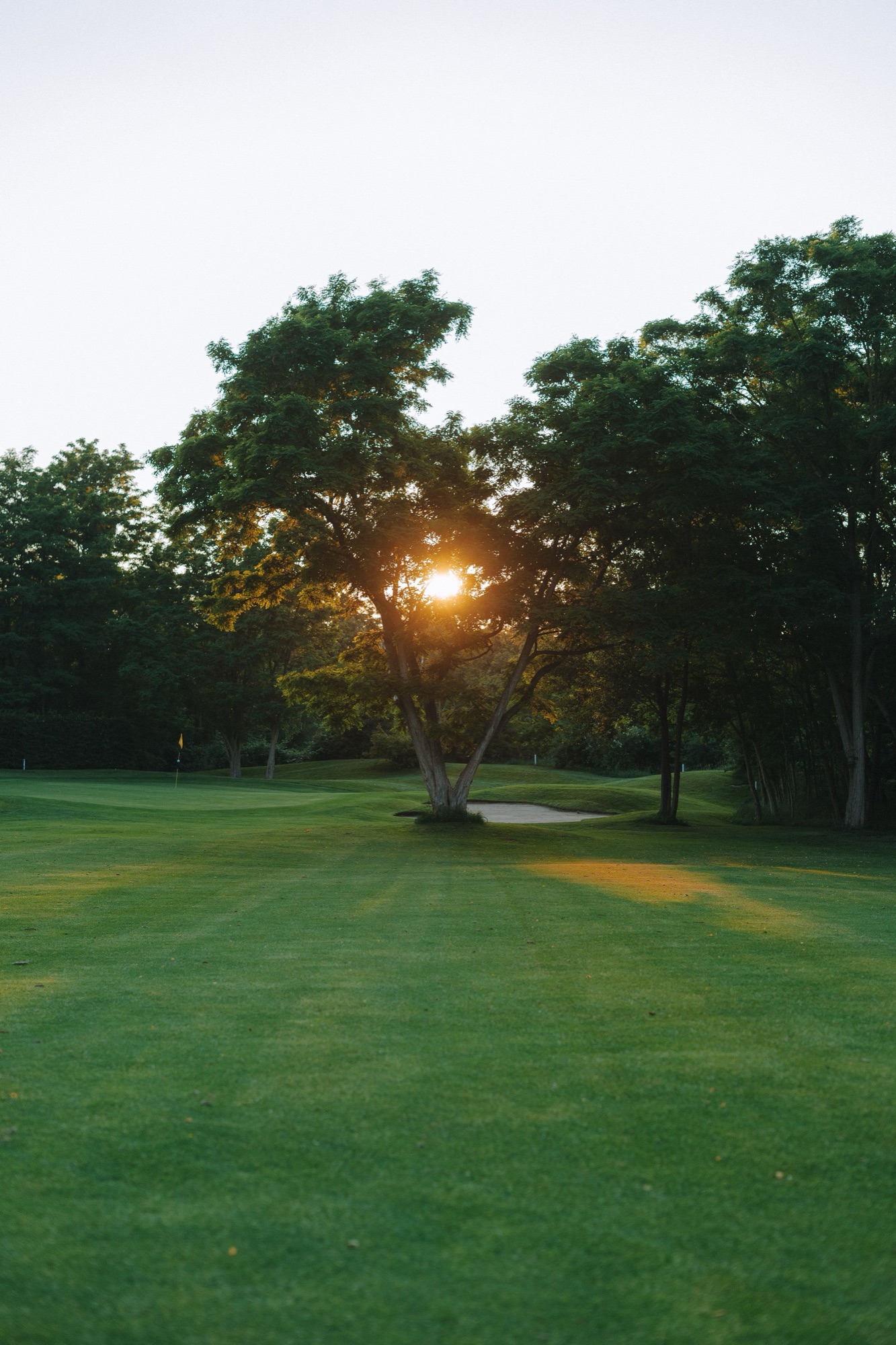 Golf course at sunset