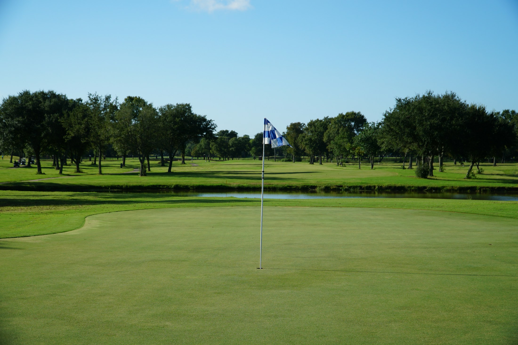 Flag on a manicured green lined with trees